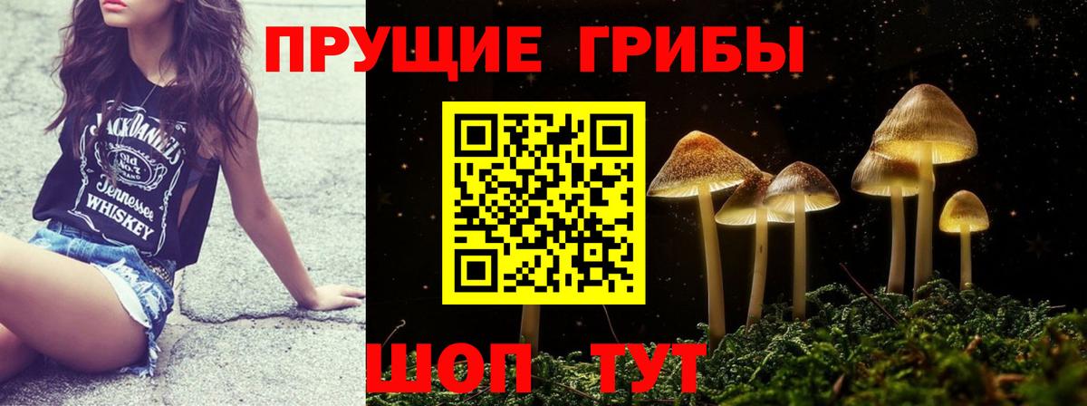 даркнет сайт  Вход с VPN  Всеволожск  Псилоцибиновые грибы Psilocybine cubensis 